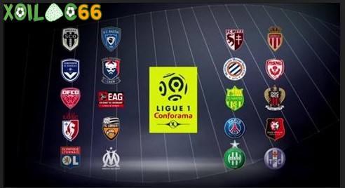 Thể thức thi đấu của giải đấu Ligue 1