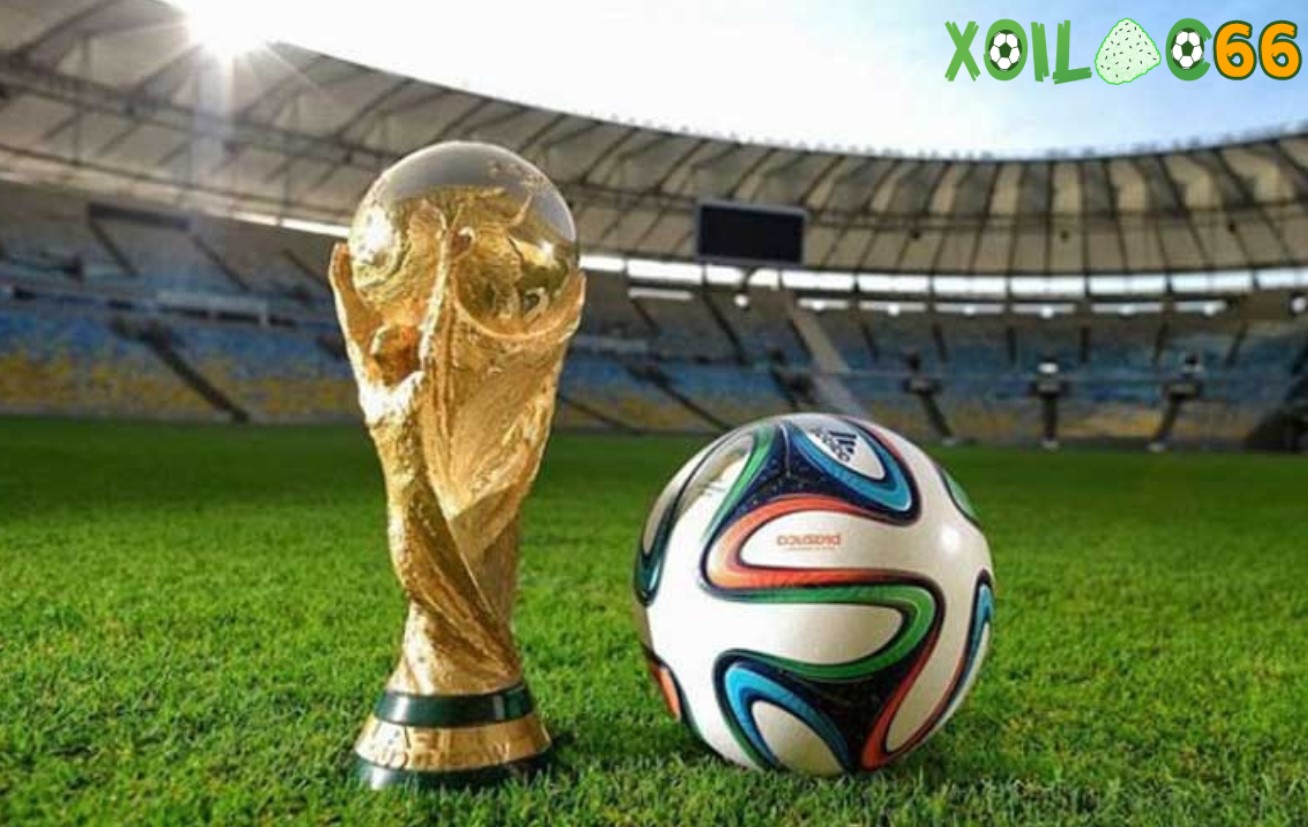 World Cup là một sự kiện bóng đá quốc tế lớn nhất trên thế giới, được tổ chức mỗi 4 năm một lần.